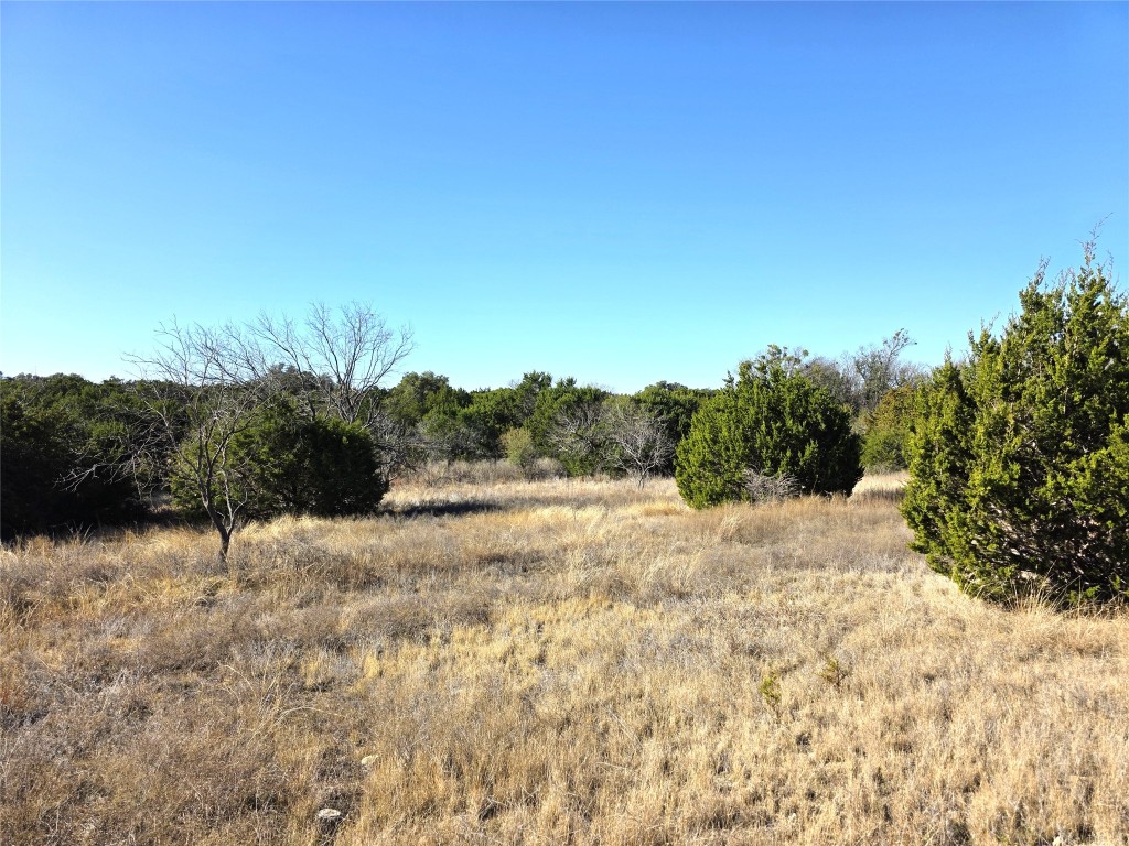 4218 Private Road 4218 Road Evant, TX 76525 - Photo 23 of 30 a view of a yard with a tree