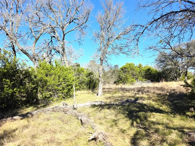 a view of a dry yard with mountains in the background