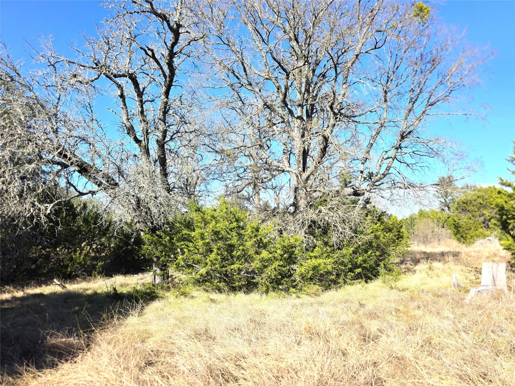 4218 Private Road 4218 Road Evant, TX 76525 - Photo 27 of 30 a view of a yard with large trees