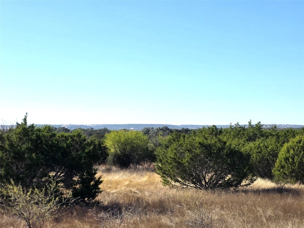 4218 Private Road 4218 Road Evant, TX 76525 - Photo 3 of 30 a view of a forest with a tree