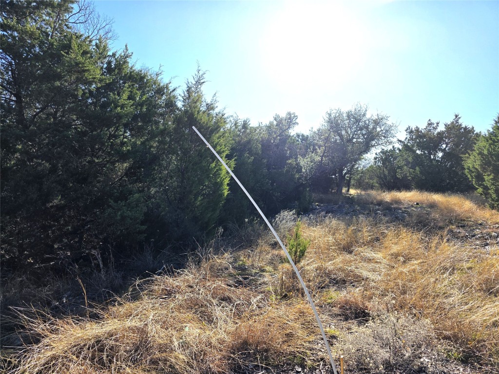 4218 Private Road 4218 Road Evant, TX 76525 - Photo 6 of 30 a view of a yard with a tree