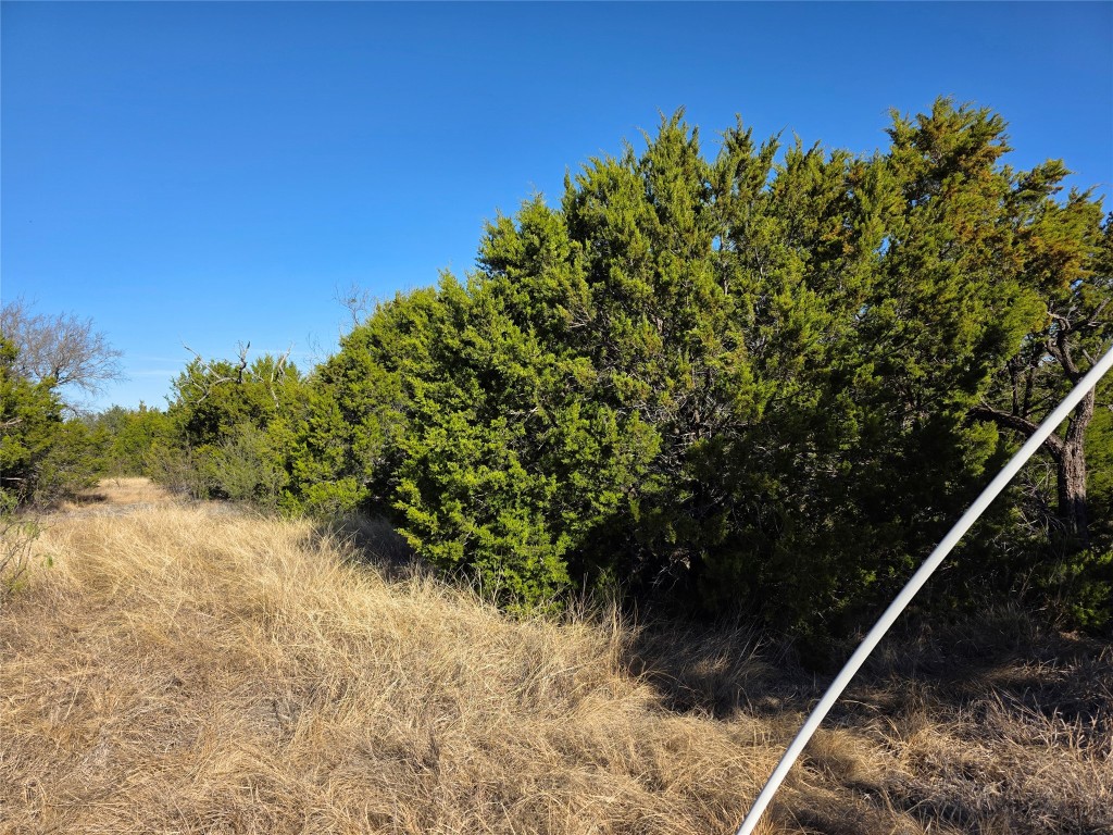 4218 Private Road 4218 Road Evant, TX 76525 - Photo 7 of 30