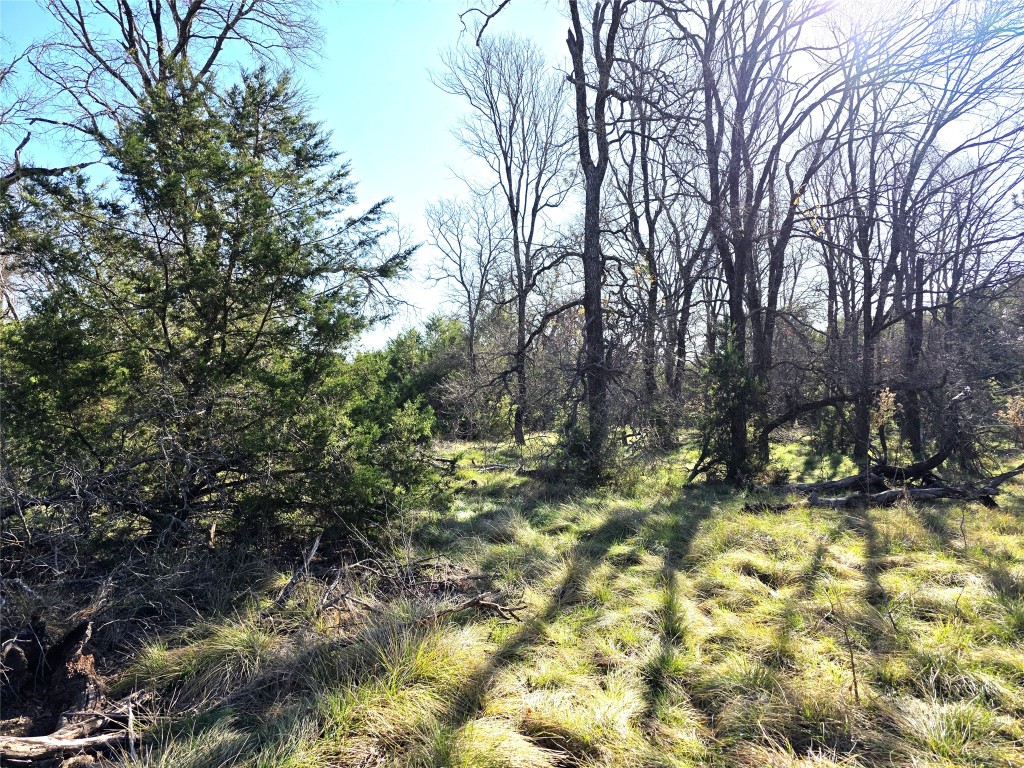4218 Private Road 4218 Road Evant, TX 76525 - Photo 9 of 30 a view of backyard with tree