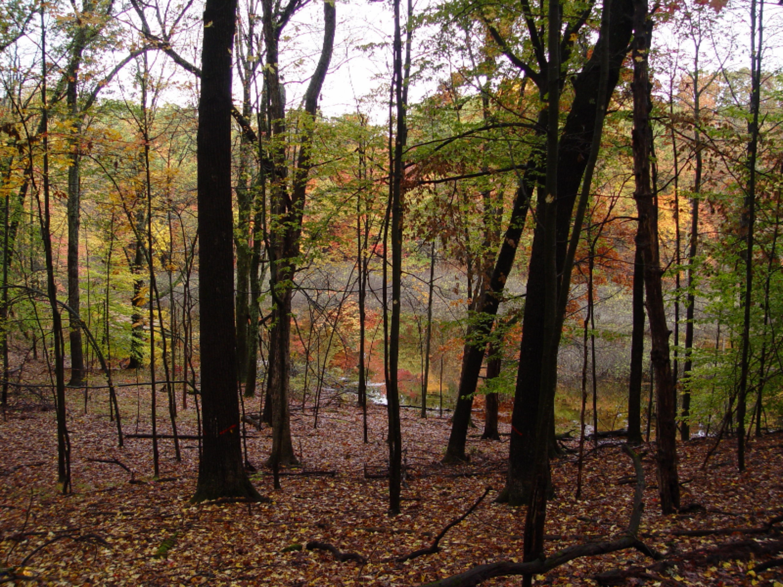 2275 Buehler Road Hastings, MI 49058 - Photo 2 of 8 DSC01533