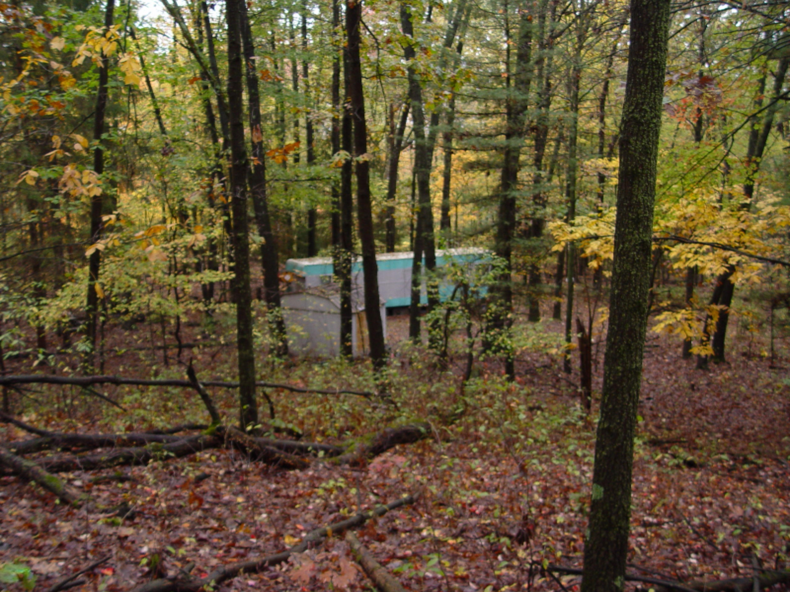 2275 Buehler Road Hastings, MI 49058 - Photo 3 of 8 DSC01540