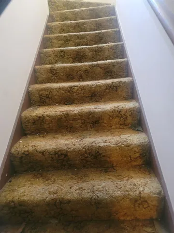 a white toilet sitting in a bathroom next to a window