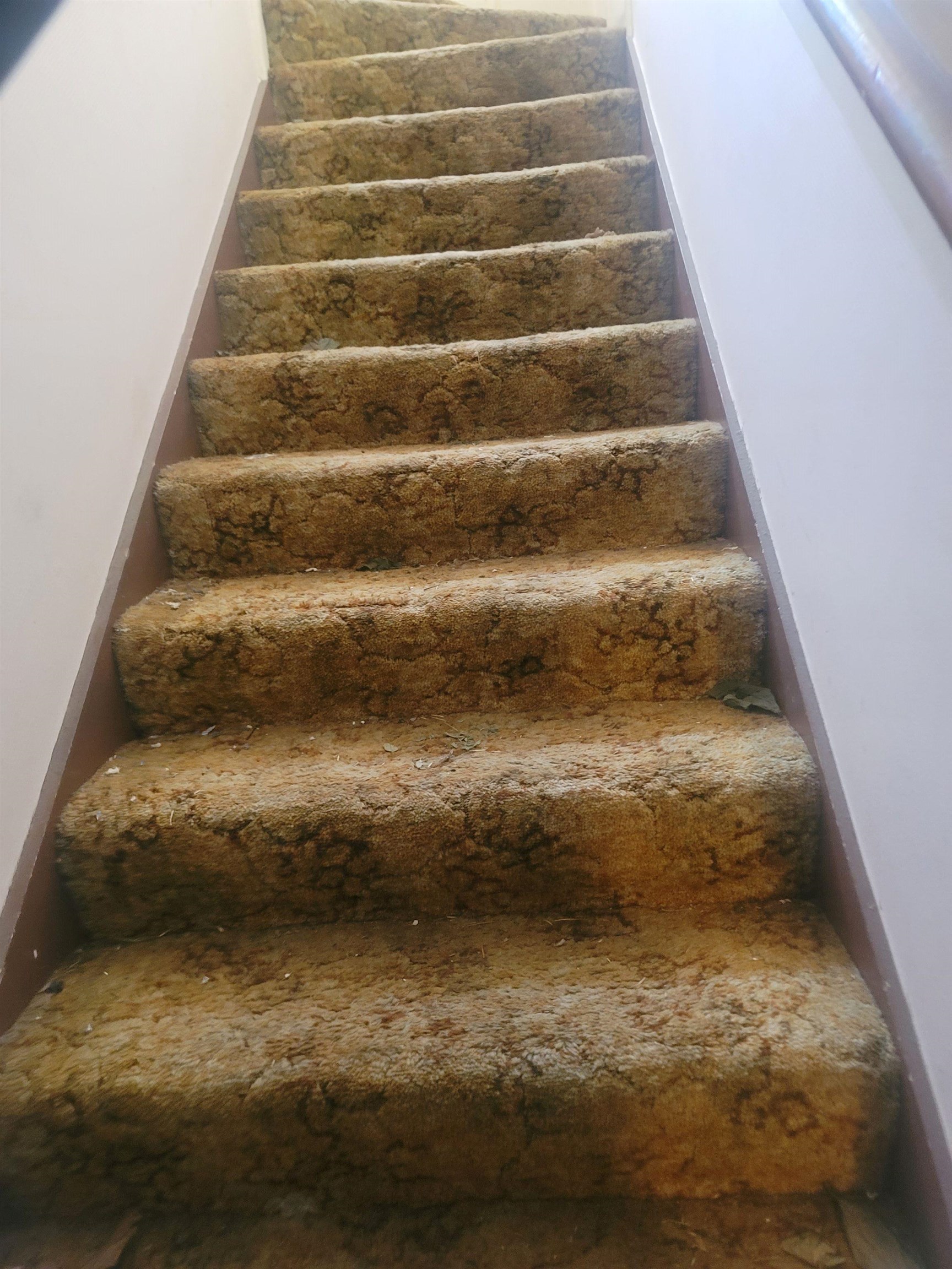 516 East Raines Road Memphis, TN 38109 - Photo 11 of 34 a view of entryway