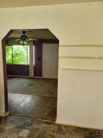 a view of a big yard with plants and large trees