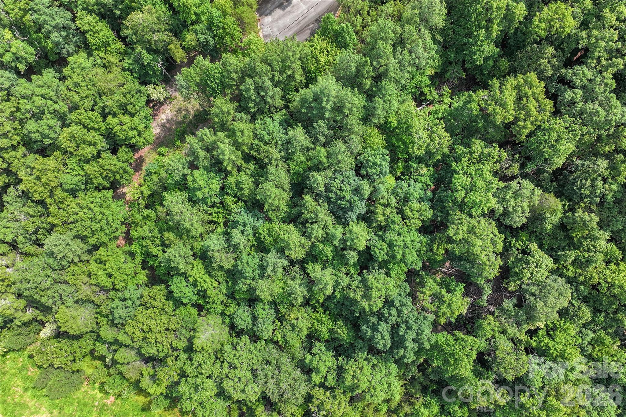 Lot 24 Monteith Pl Mill Spring Mill Spring, NC 28756 - Photo 9 of 24