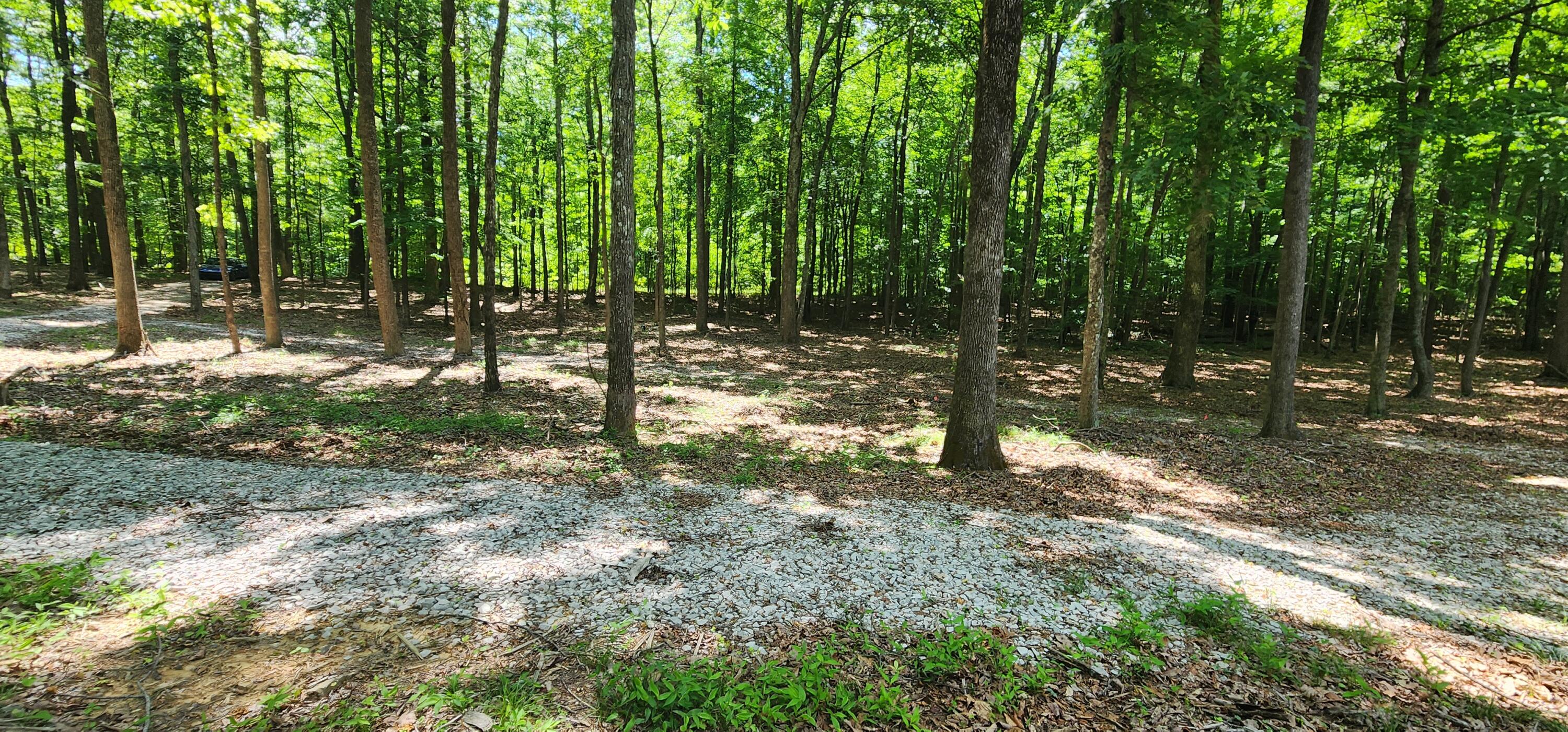 0 Roth Point Road, Unit 5 Altamont, TN 37301 - Photo 46 of 53 1000052080
