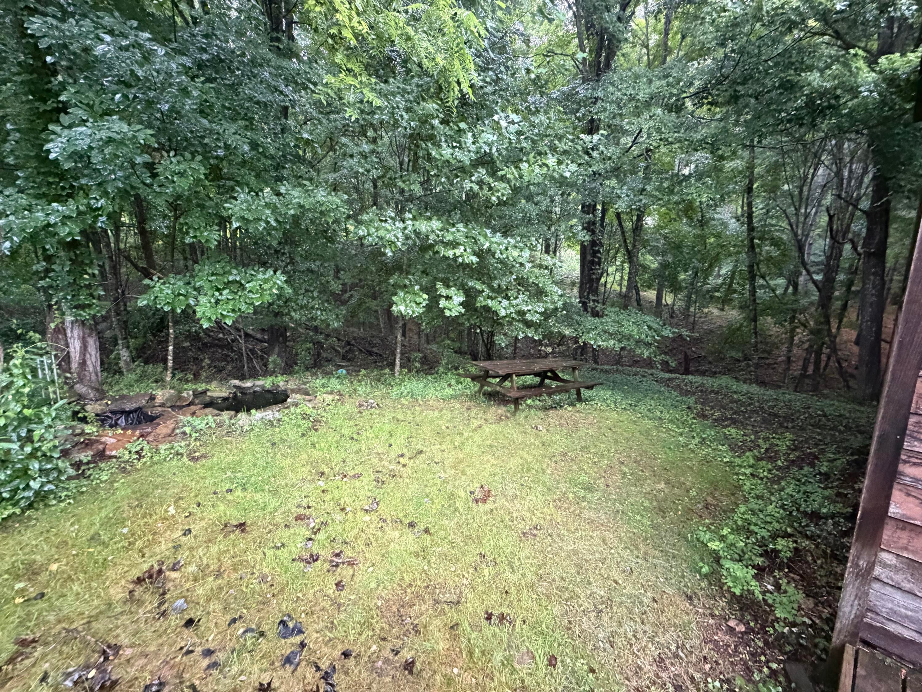 4327 Trout Run Road Waiteville, WV 24984 - Photo 23 of 28 Gallery Image 23