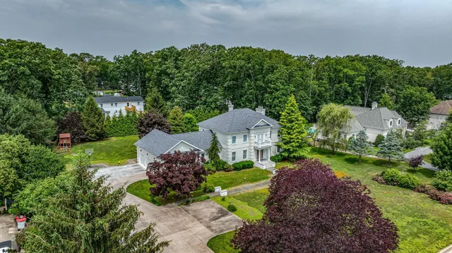 a view of a garden with plants and large trees