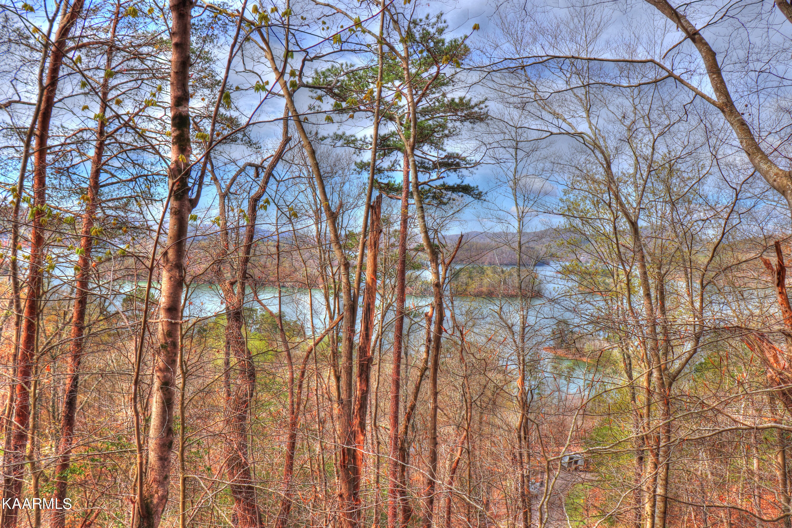 Lot 76 Grandpas Ridge Sharps Chapel, TN 37866 - Photo 3 of 23 Remove a few trees for an excellent view
