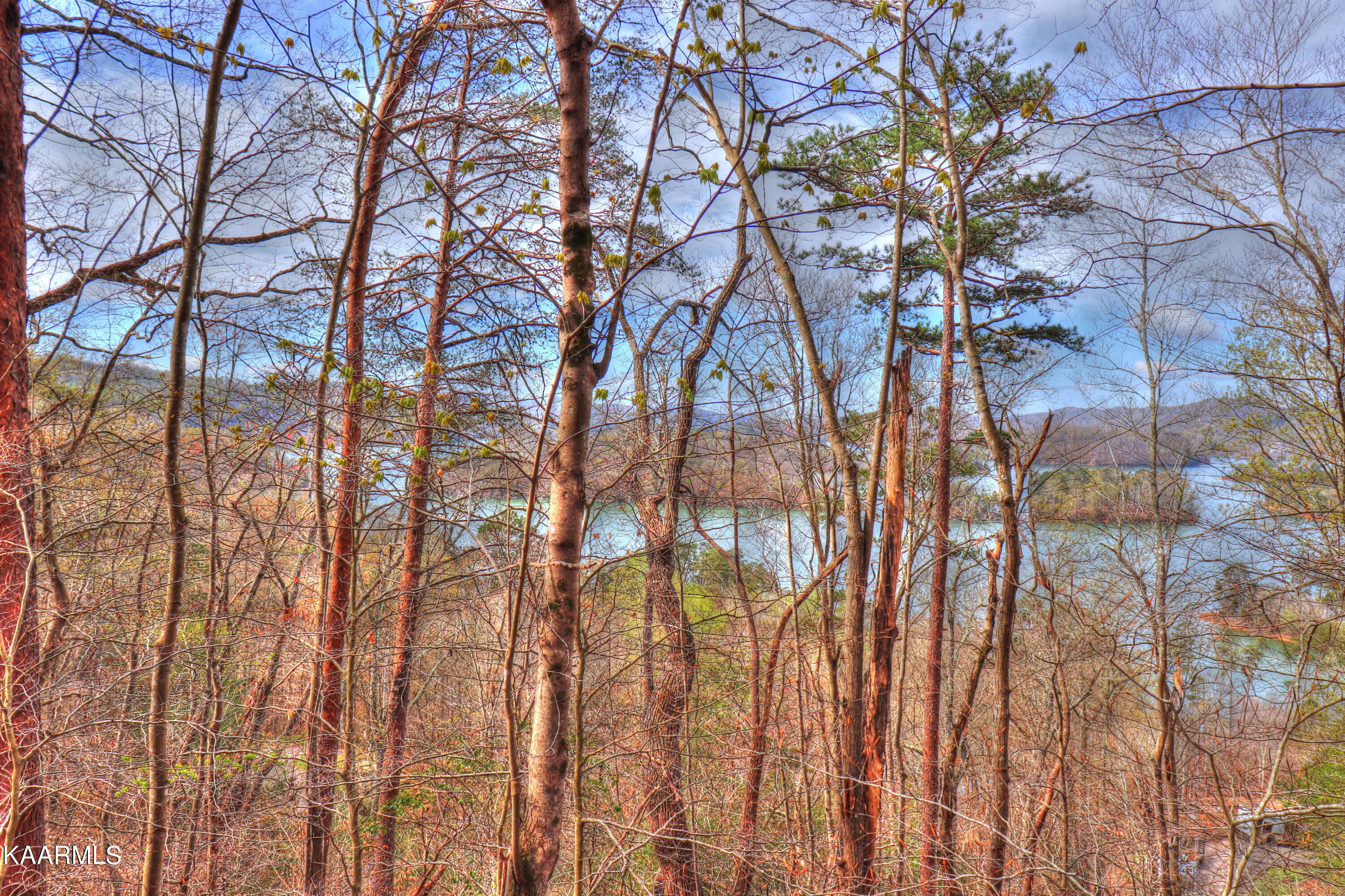 Lot 76 Grandpas Ridge Sharps Chapel, TN 37866 - Photo 4 of 23 Remove a few trees for an excellent view