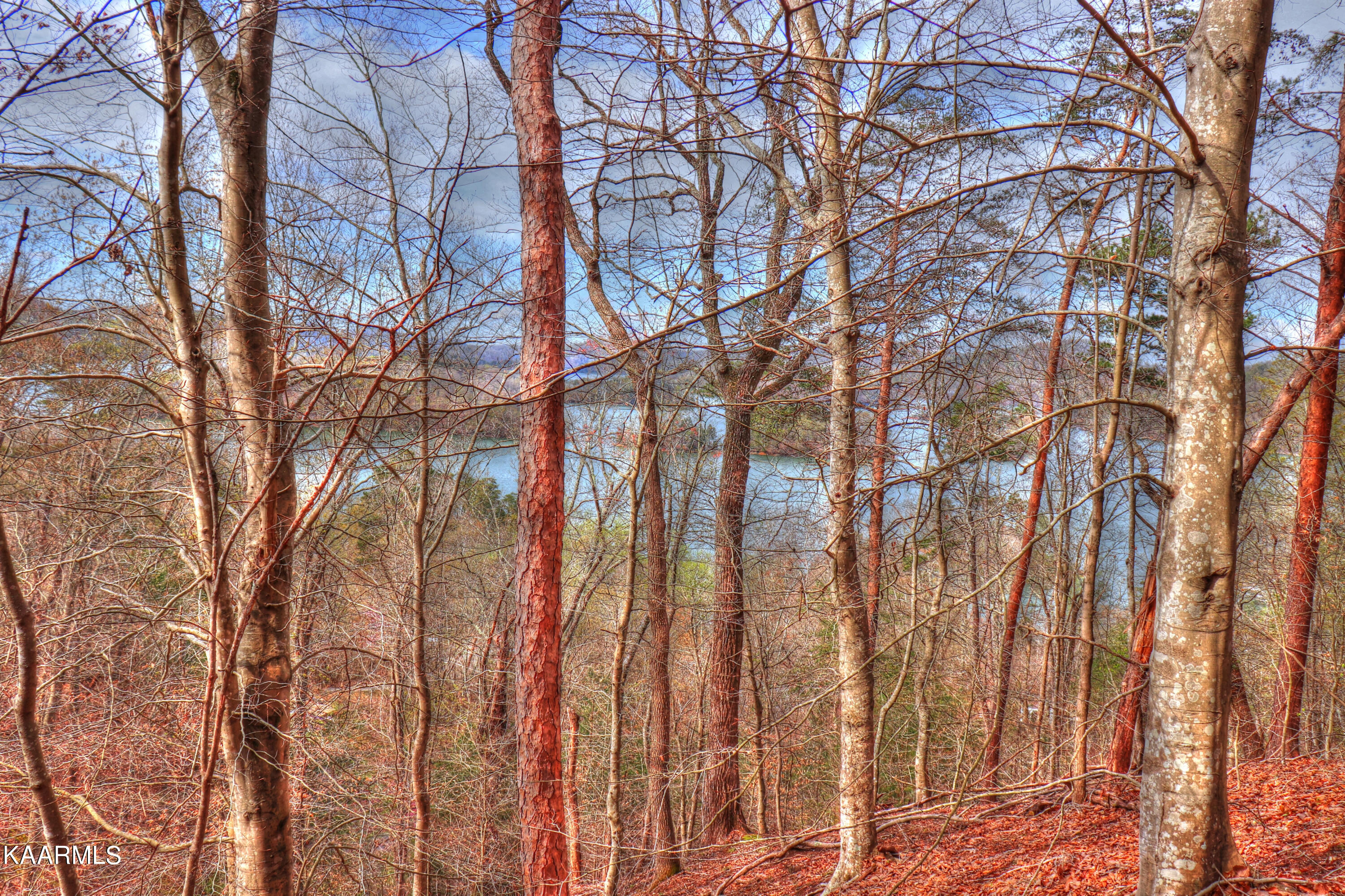 Lot 76 Grandpas Ridge Sharps Chapel, TN 37866 - Photo 5 of 23 Remove a few trees for an excellent view