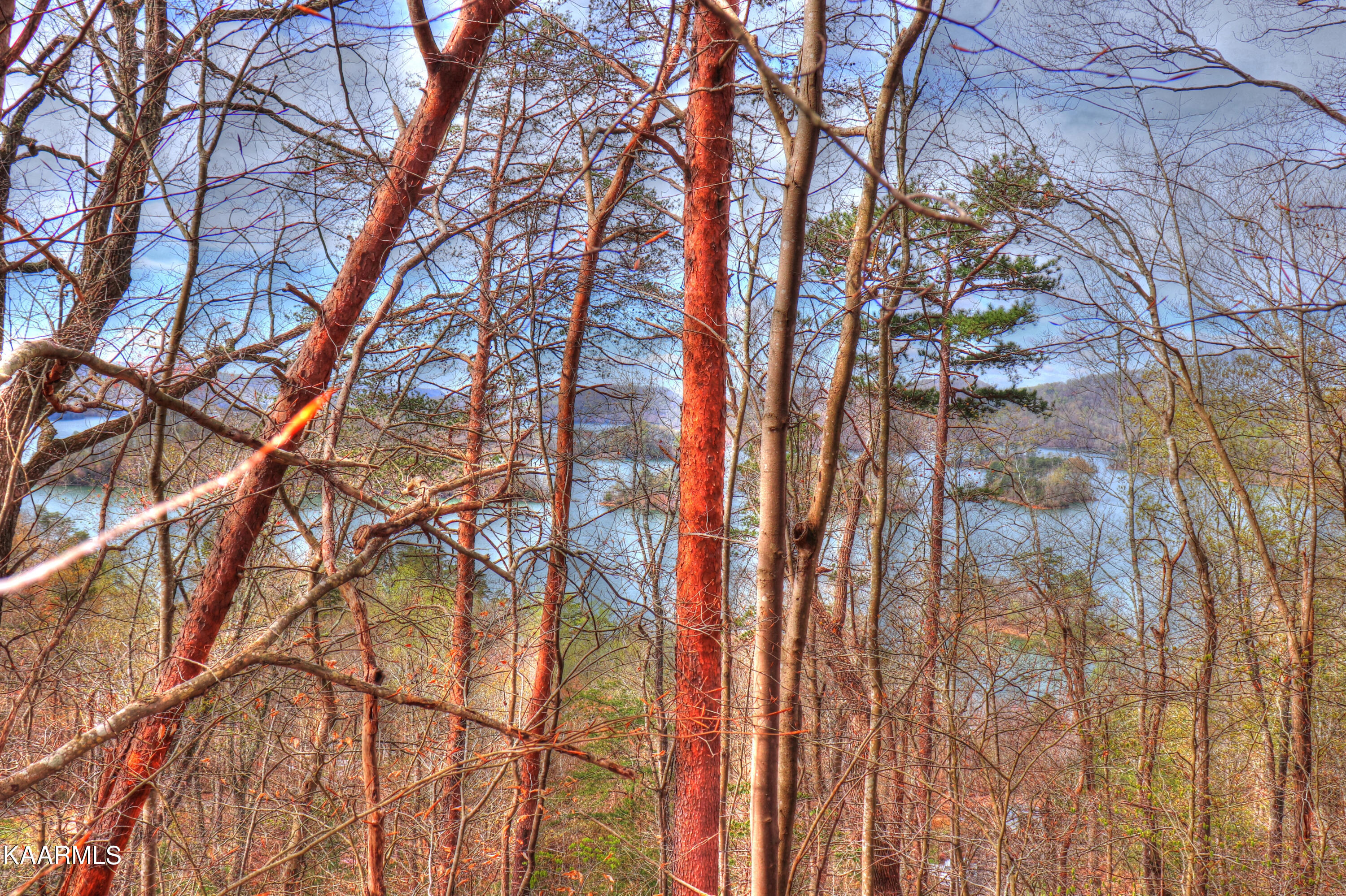 Lot 76 Grandpas Ridge Sharps Chapel, TN 37866 - Photo 6 of 23 Remove a few trees for an excellent view