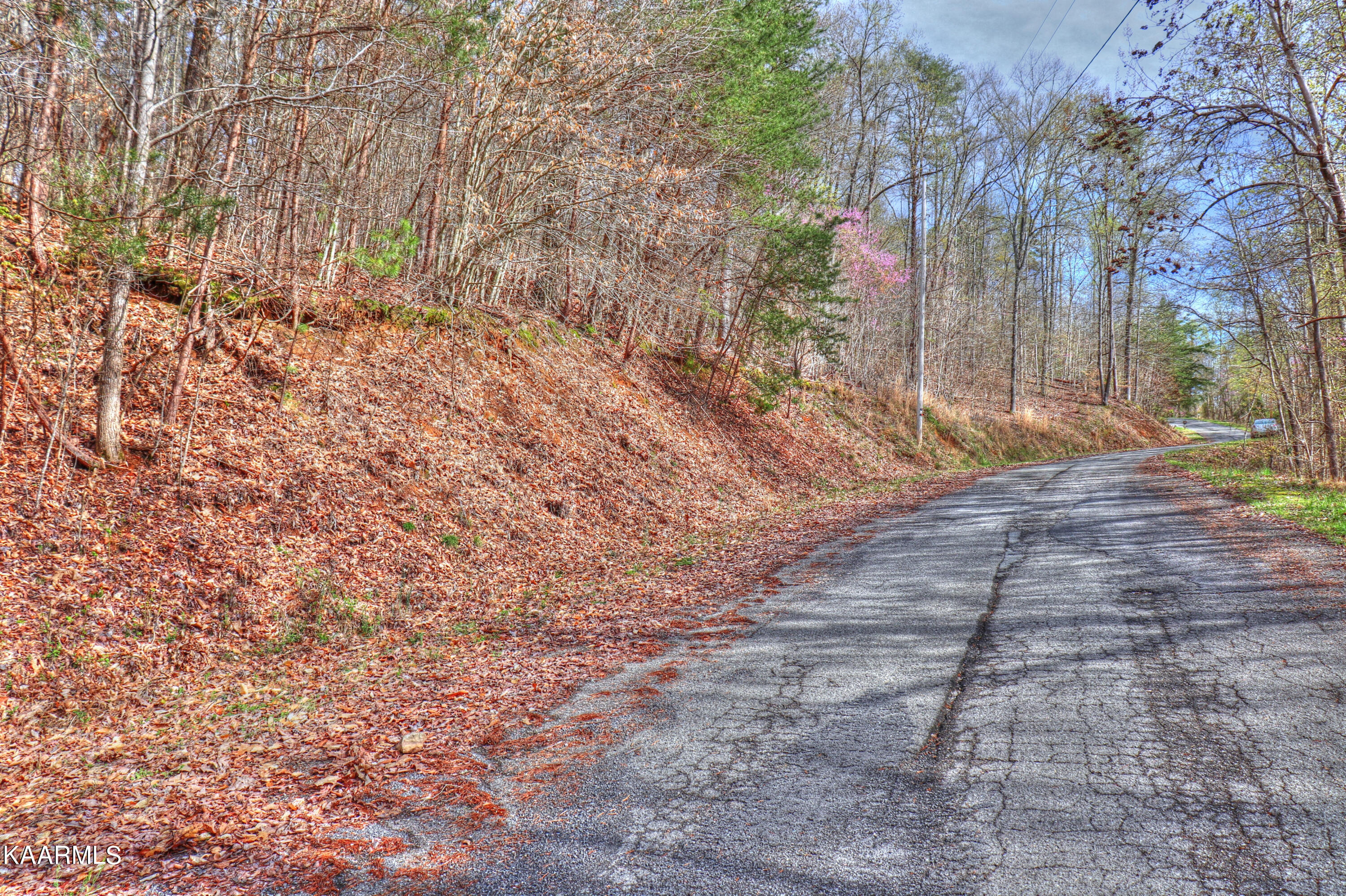 Lot 76 Grandpas Ridge Sharps Chapel, TN 37866 - Photo 7 of 23 Lot is to the left