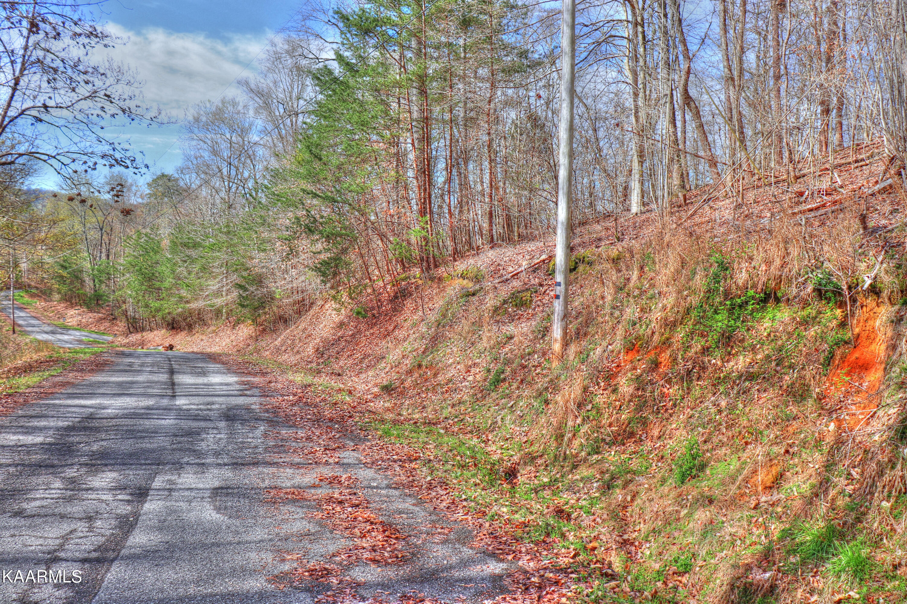 Lot 76 Grandpas Ridge Sharps Chapel, TN 37866 - Photo 8 of 23 Lot is to the right