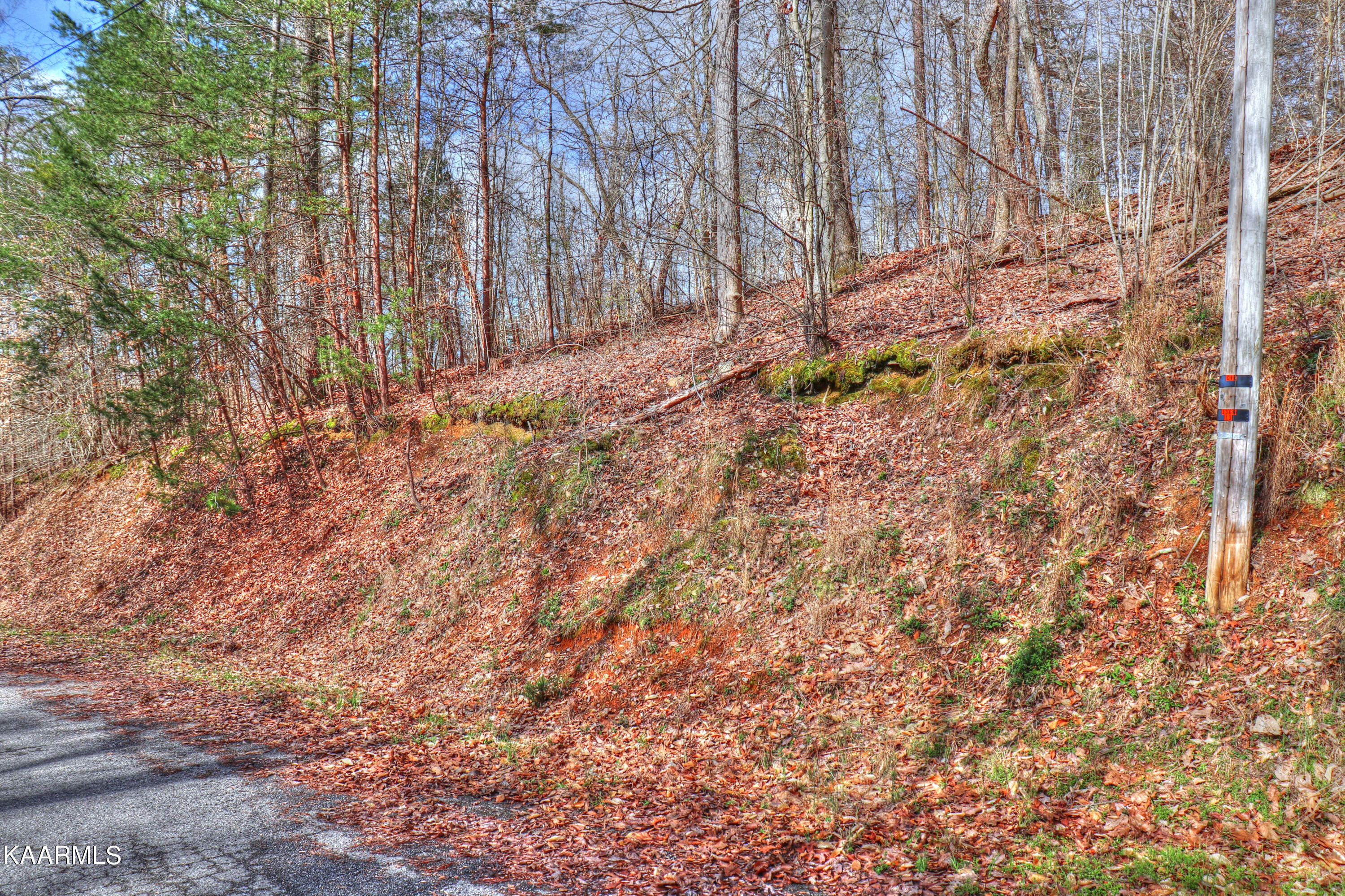 Lot 76 Grandpas Ridge Sharps Chapel, TN 37866 - Photo 9 of 23 Lot 76 Grandpas Ridge