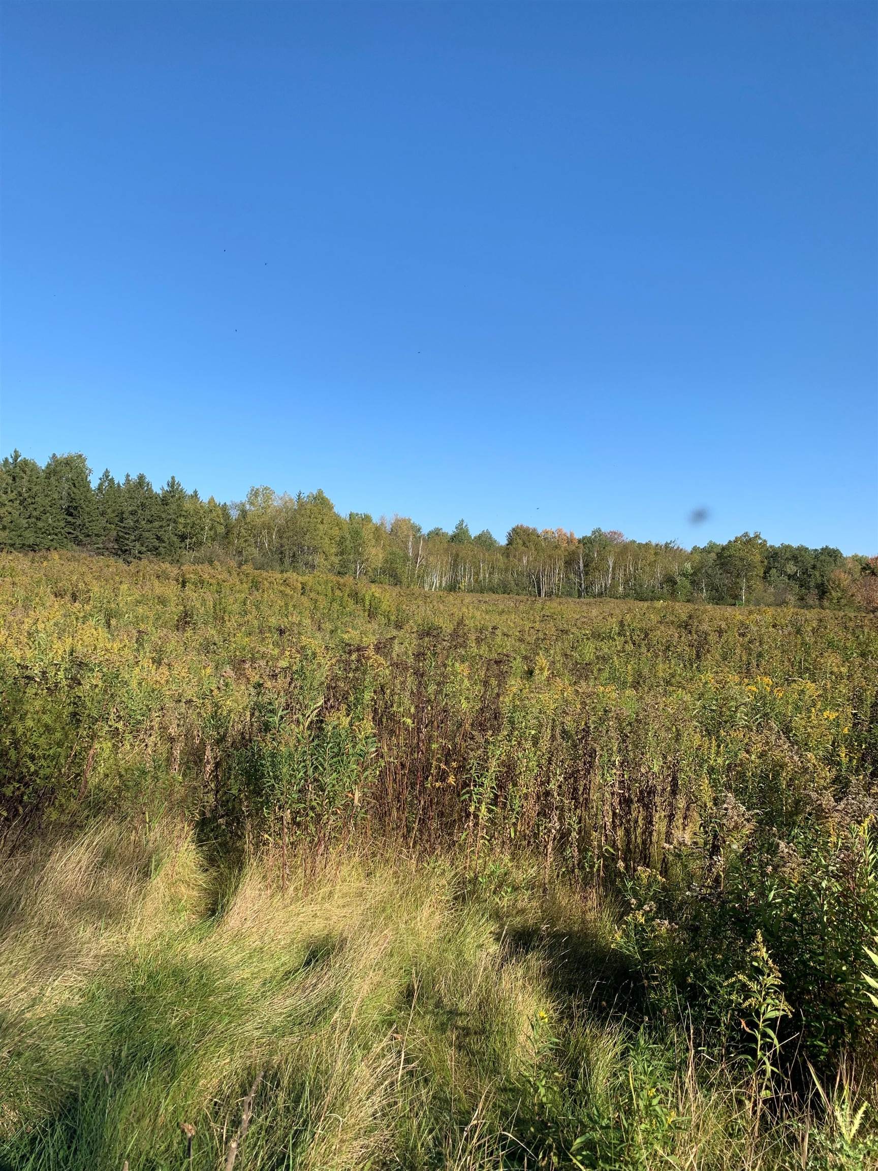48.6-acres County Road West Merrill, WI 54452 - Photo 10 of 17