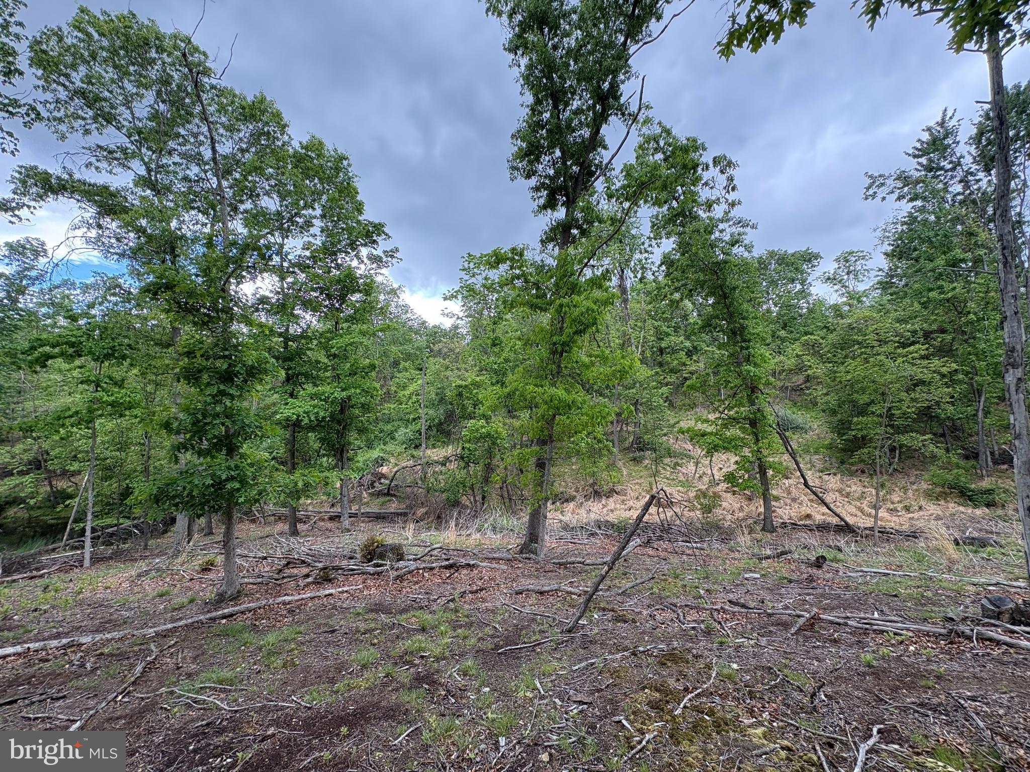 40.15-ac Middle Ridge Road Burlington, WV 26710 - Photo 8 of 47