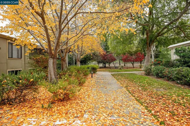 a view of yard with tree s