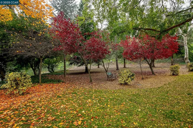 a view of outdoor space with trees