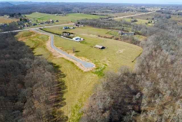 a view of a lake with a mountain