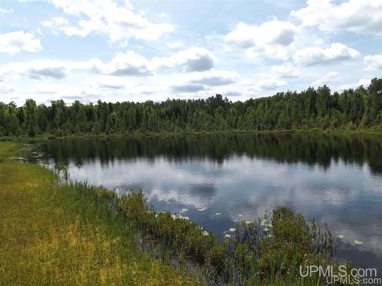 Tbd South Olson Lake Road Michigamme, MI 49861 - Photo 1 of 25