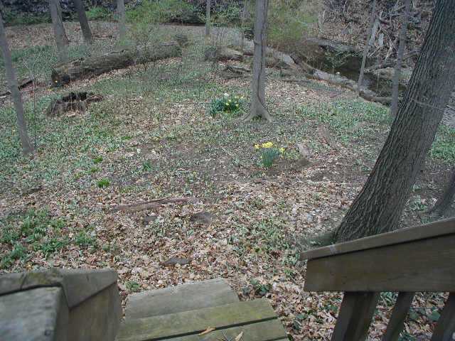 8201 Flint Road Columbus, OH 43235 - Photo 9 of 10 Gallery Image 9