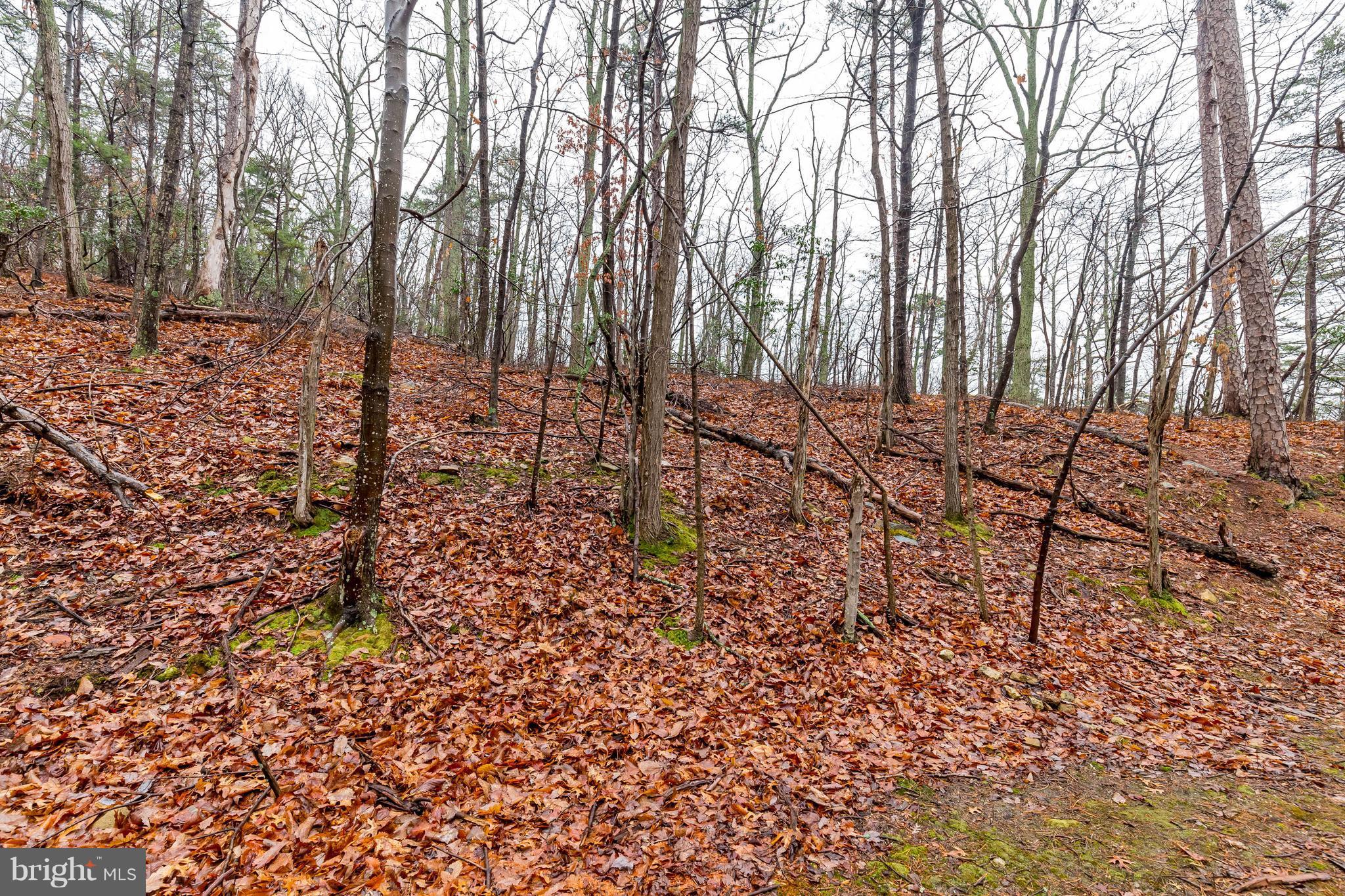1760 Mercer Road Haymarket, VA 20169 - Photo 2 of 3 View