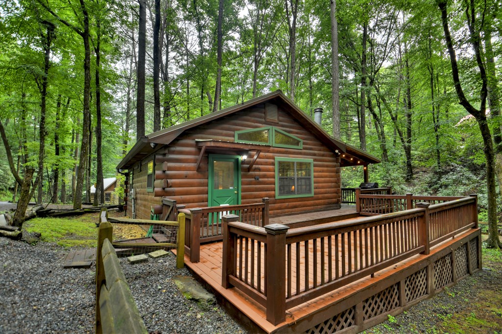 17 Chapman Lake Trail Blue Ridge, GA 30513 - Photo 11 of 35 Gallery Image 11