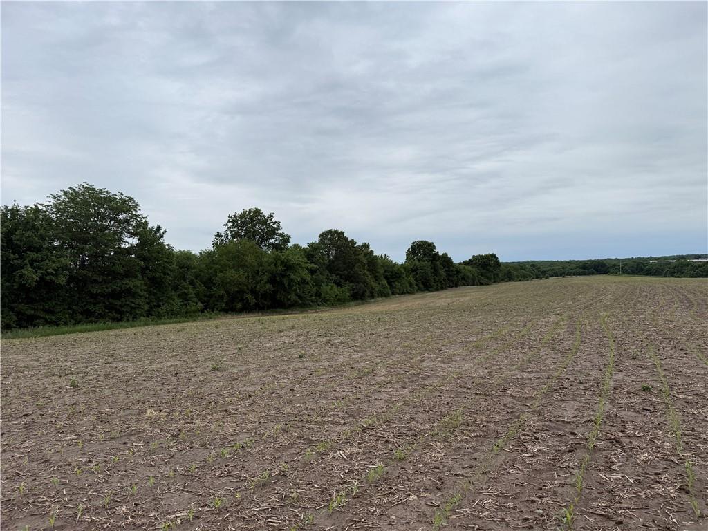 Cotton Road Purdin, MO 64674 - Photo 9 of 14