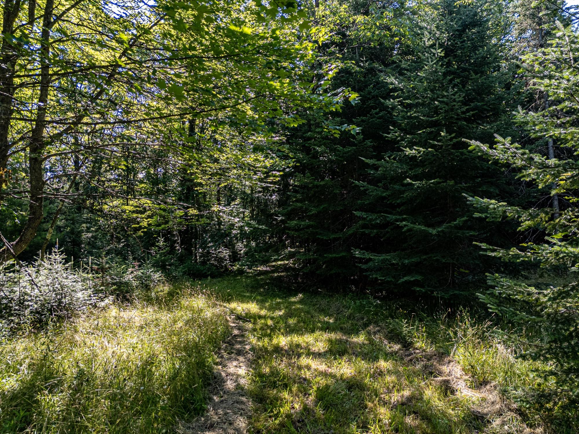 Lot 36 Hewitt Lane Mercer, WI 54547 - Photo 26 of 34 Gallery Image 26