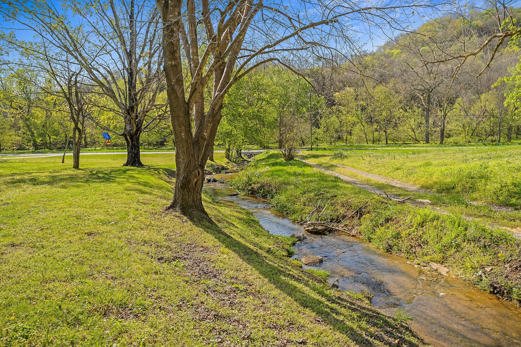 538 Pleasant Shade Highway Pleasant Shade, TN 37145 - Photo 55 of 56 Gallery Image 55