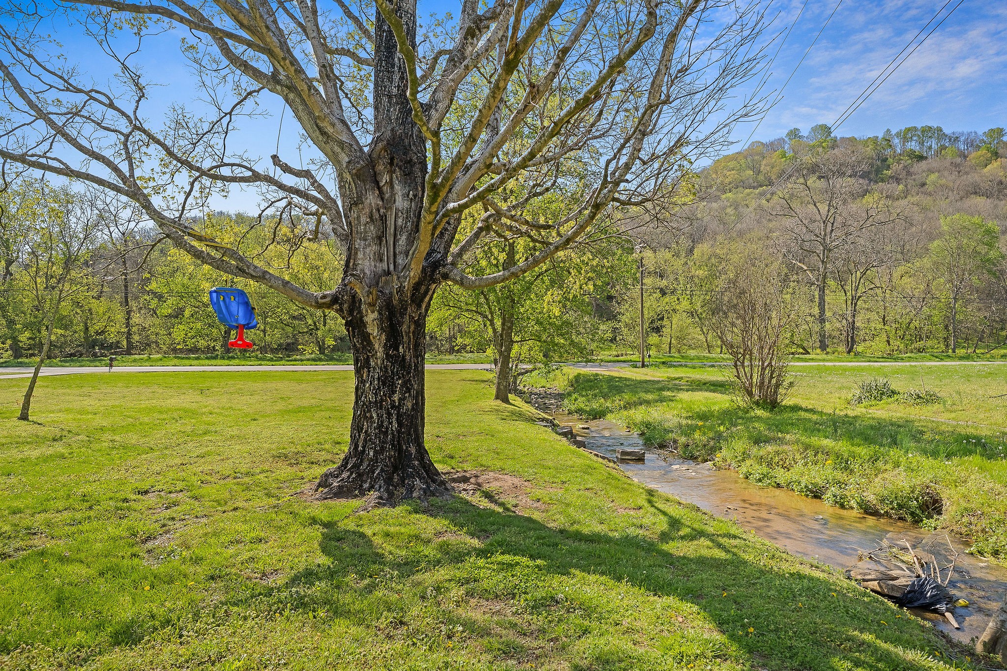 538 Pleasant Shade Highway Pleasant Shade, TN 37145 - Photo 56 of 56 Gallery Image 56