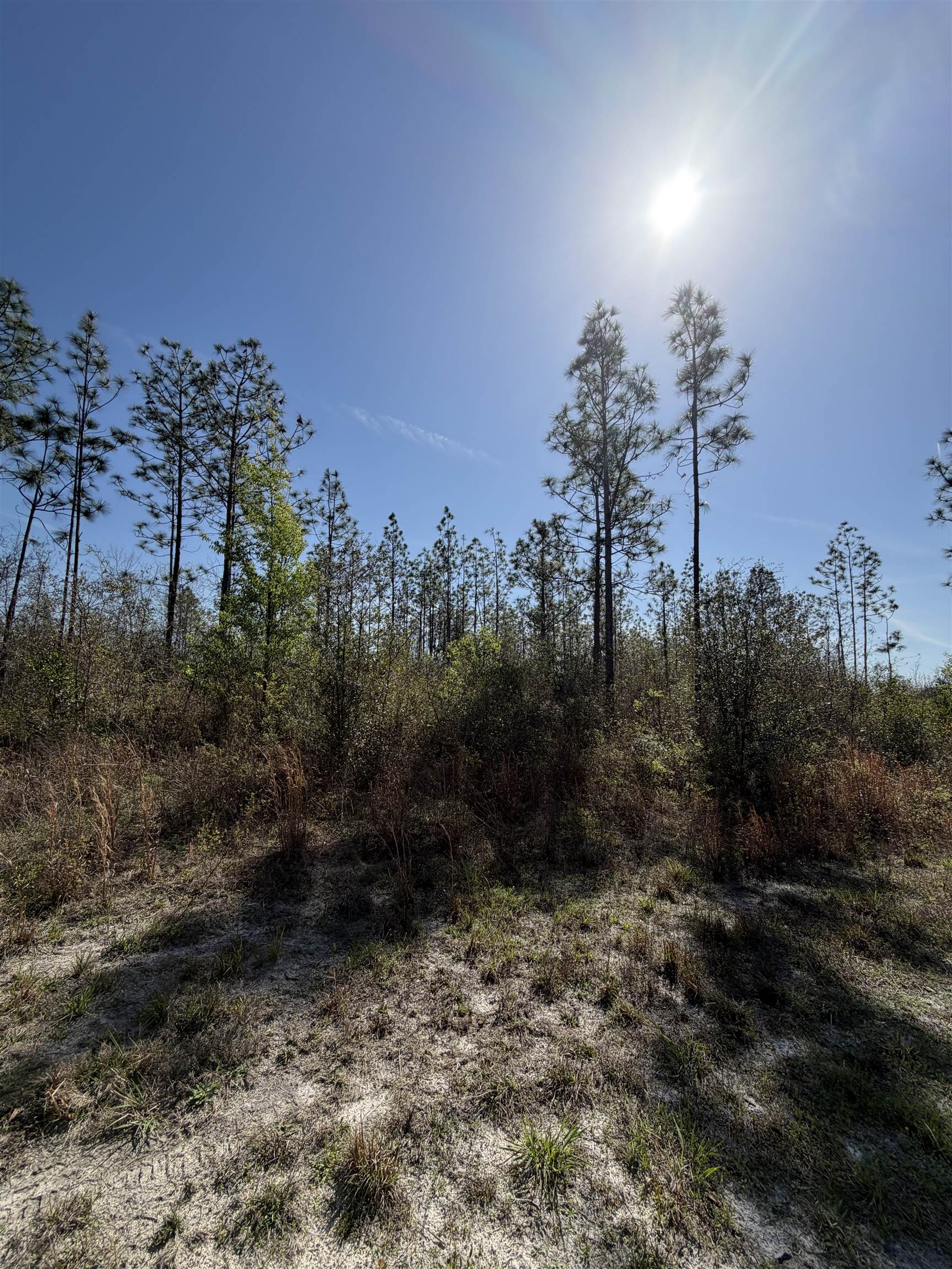 Southeast Colonial Way Lee, FL 32059 - Photo 1 of 20