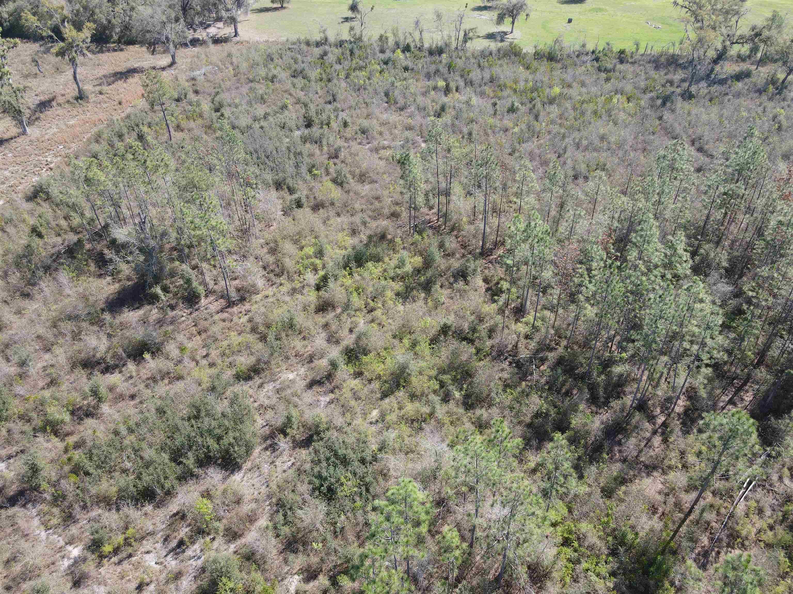 Southeast Colonial Way Lee, FL 32059 - Photo 13 of 20