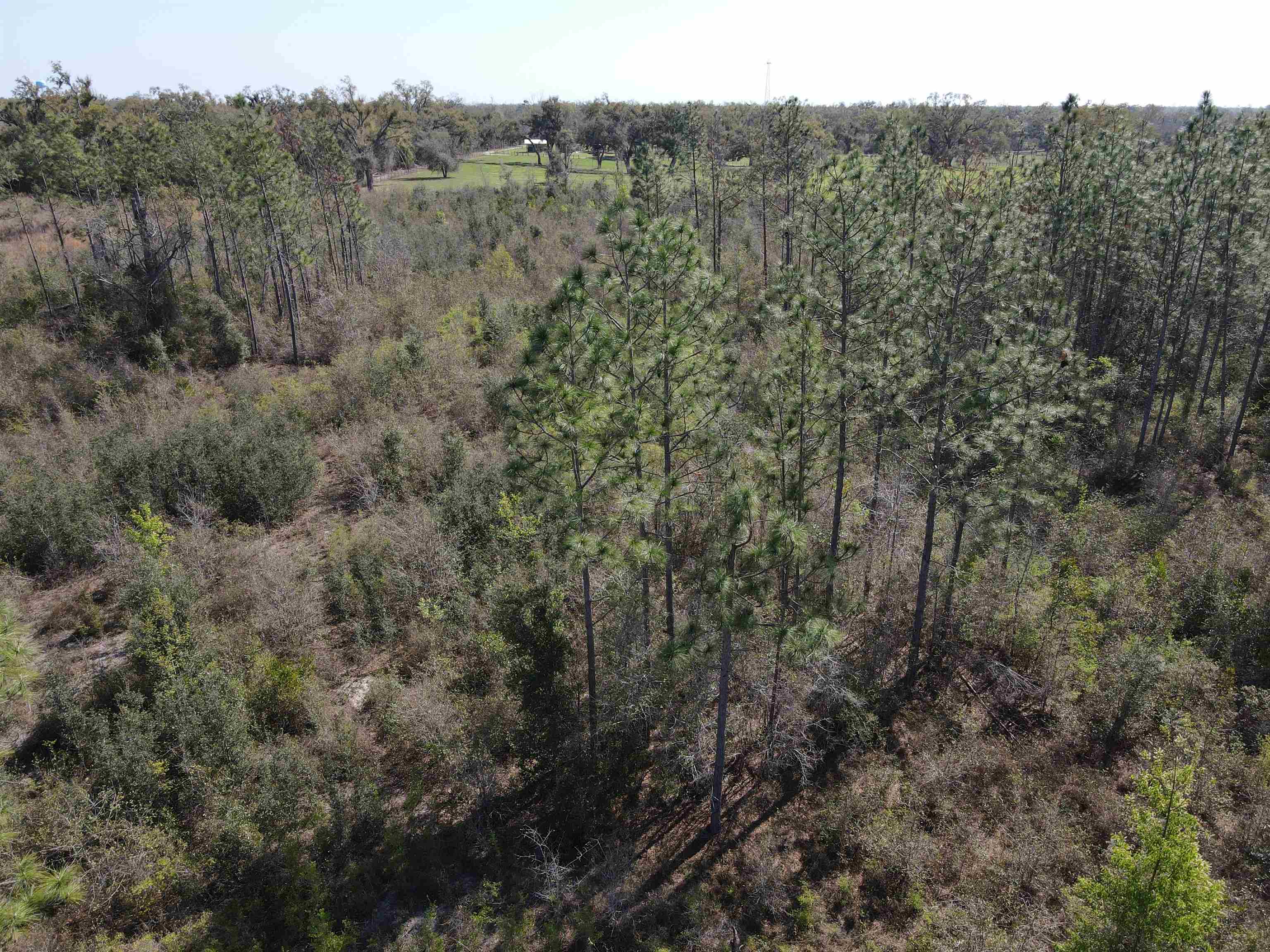 Southeast Colonial Way Lee, FL 32059 - Photo 13 of 20
