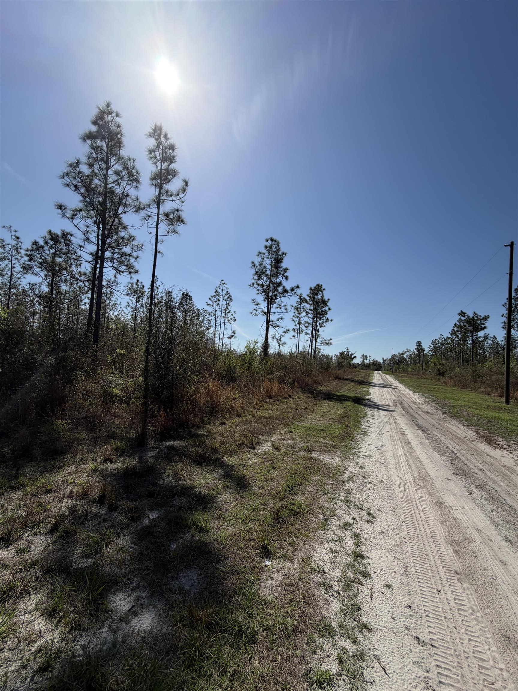 Southeast Colonial Way Lee, FL 32059 - Photo 16 of 20