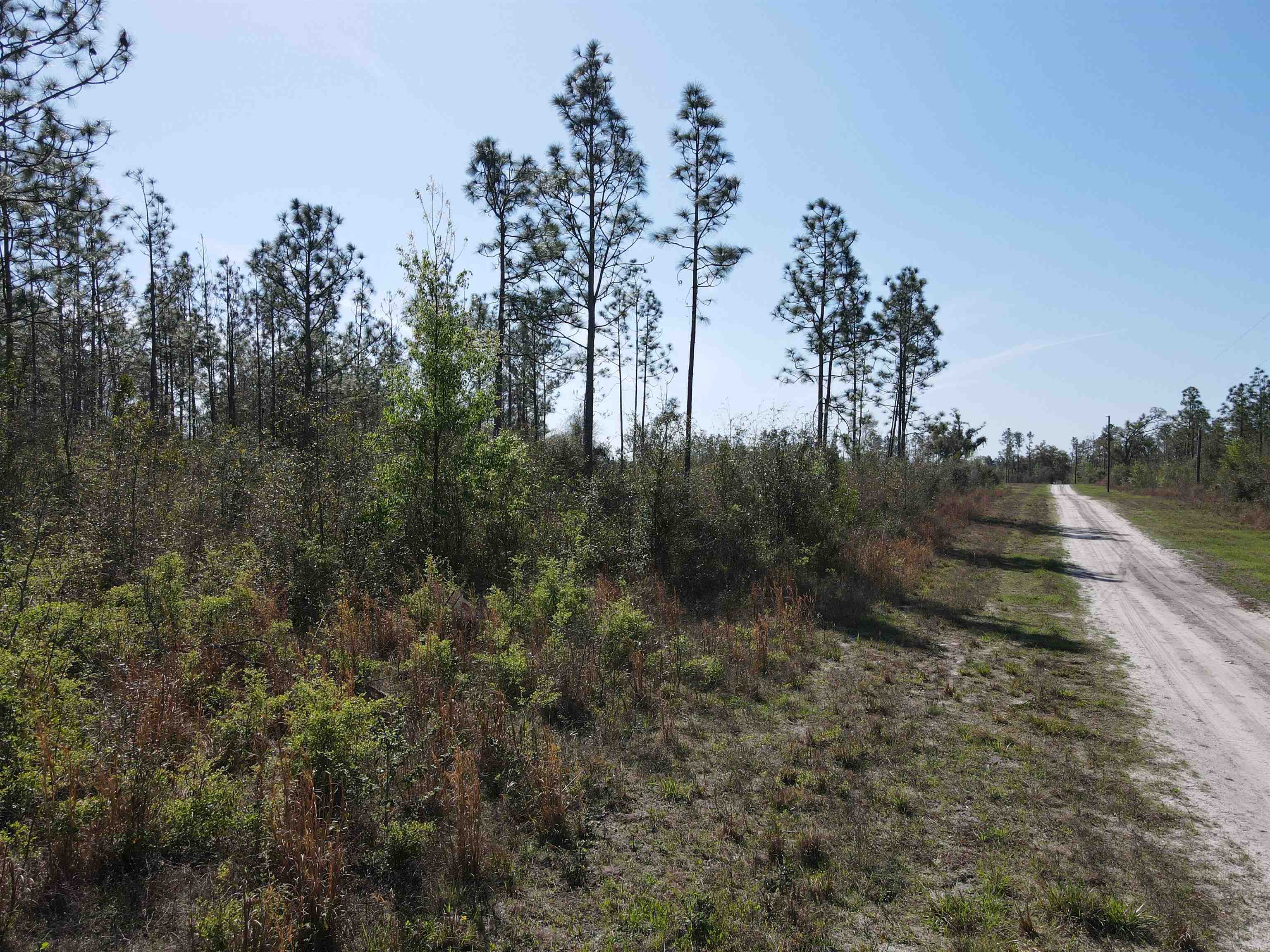 Southeast Colonial Way Lee, FL 32059 - Photo 16 of 20