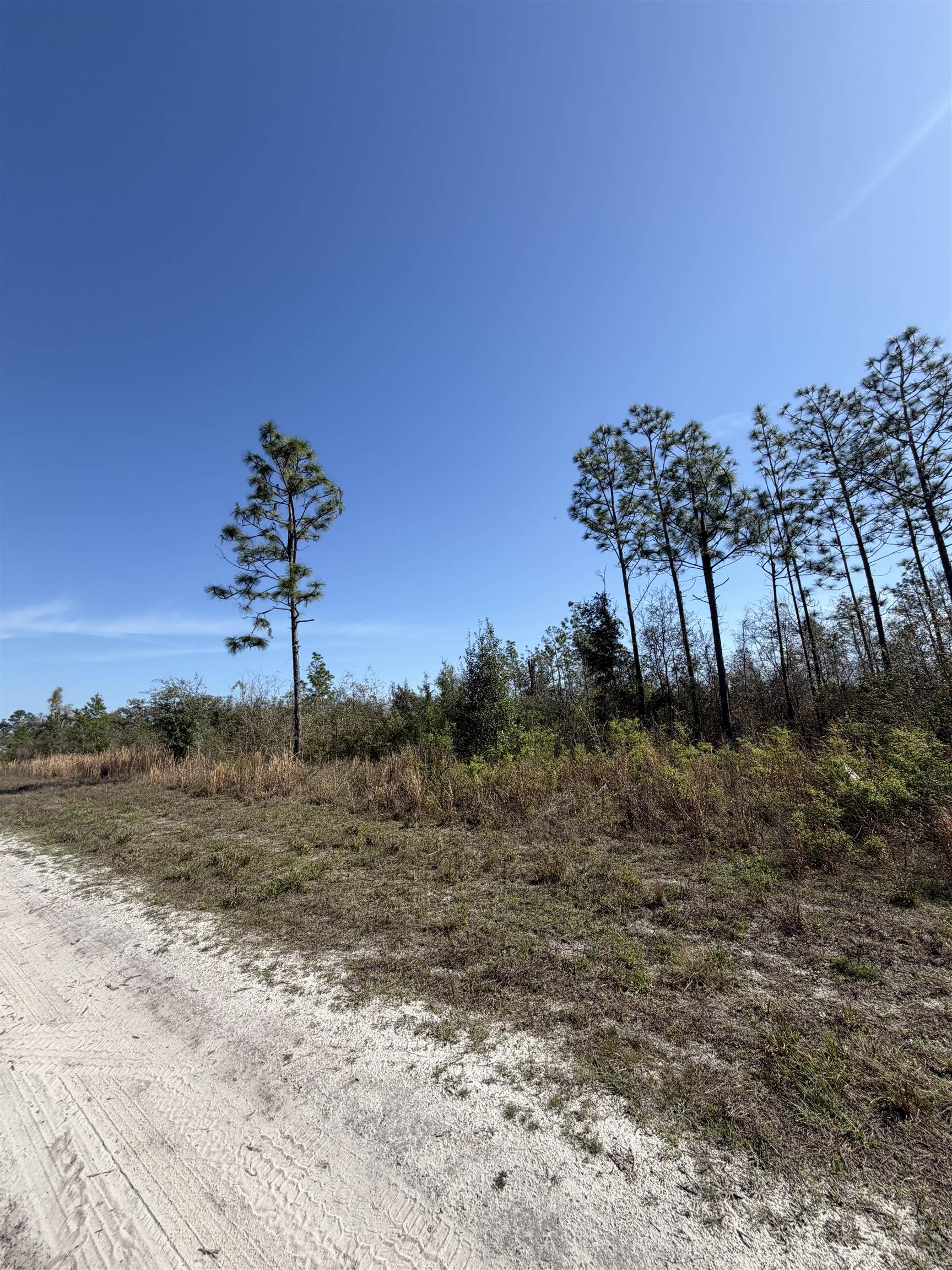Southeast Colonial Way Lee, FL 32059 - Photo 2 of 20