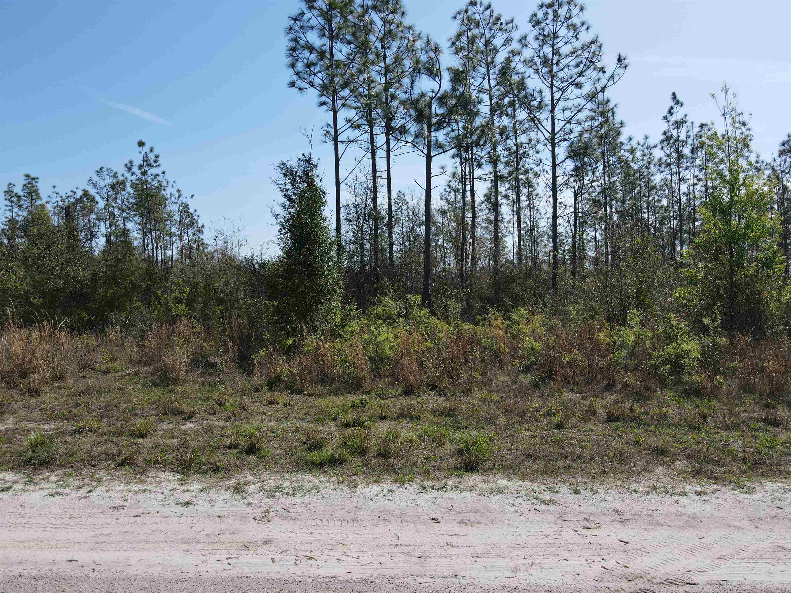 Southeast Colonial Way Lee, FL 32059 - Photo 2 of 20