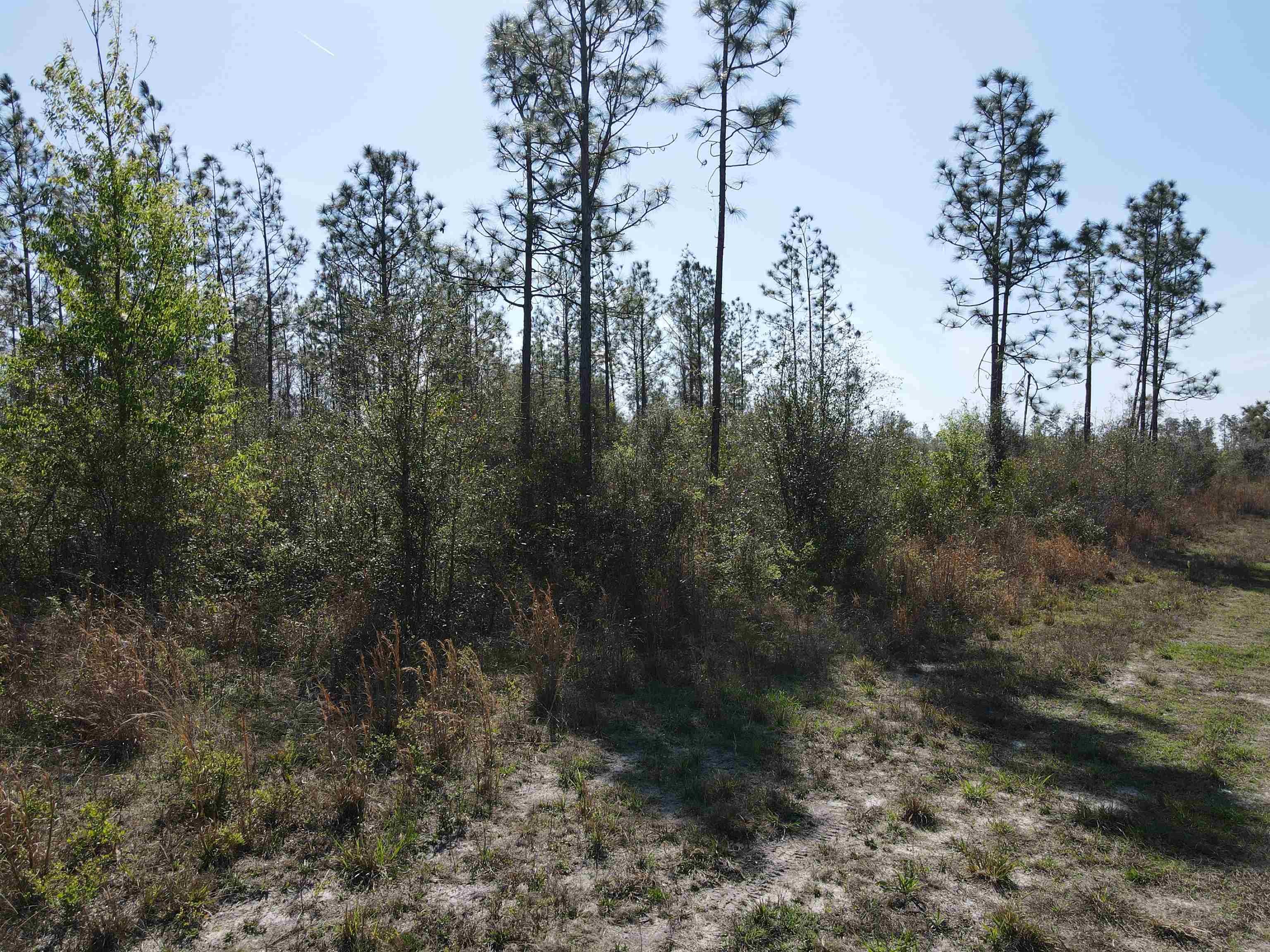 Southeast Colonial Way Lee, FL 32059 - Photo 5 of 20