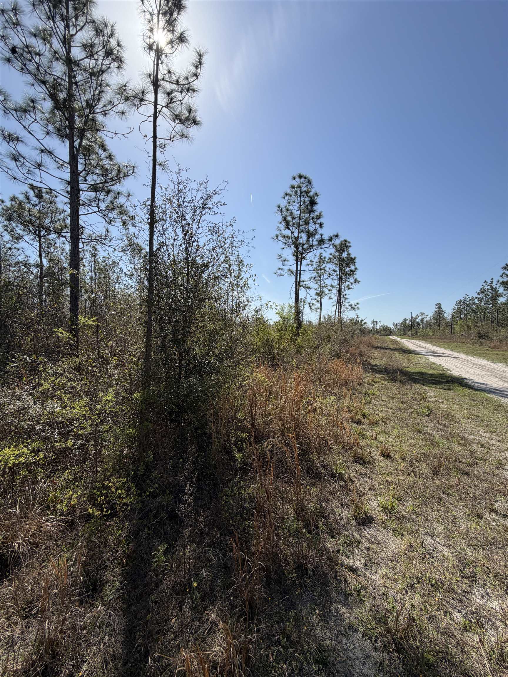Southeast Colonial Way Lee, FL 32059 - Photo 5 of 20