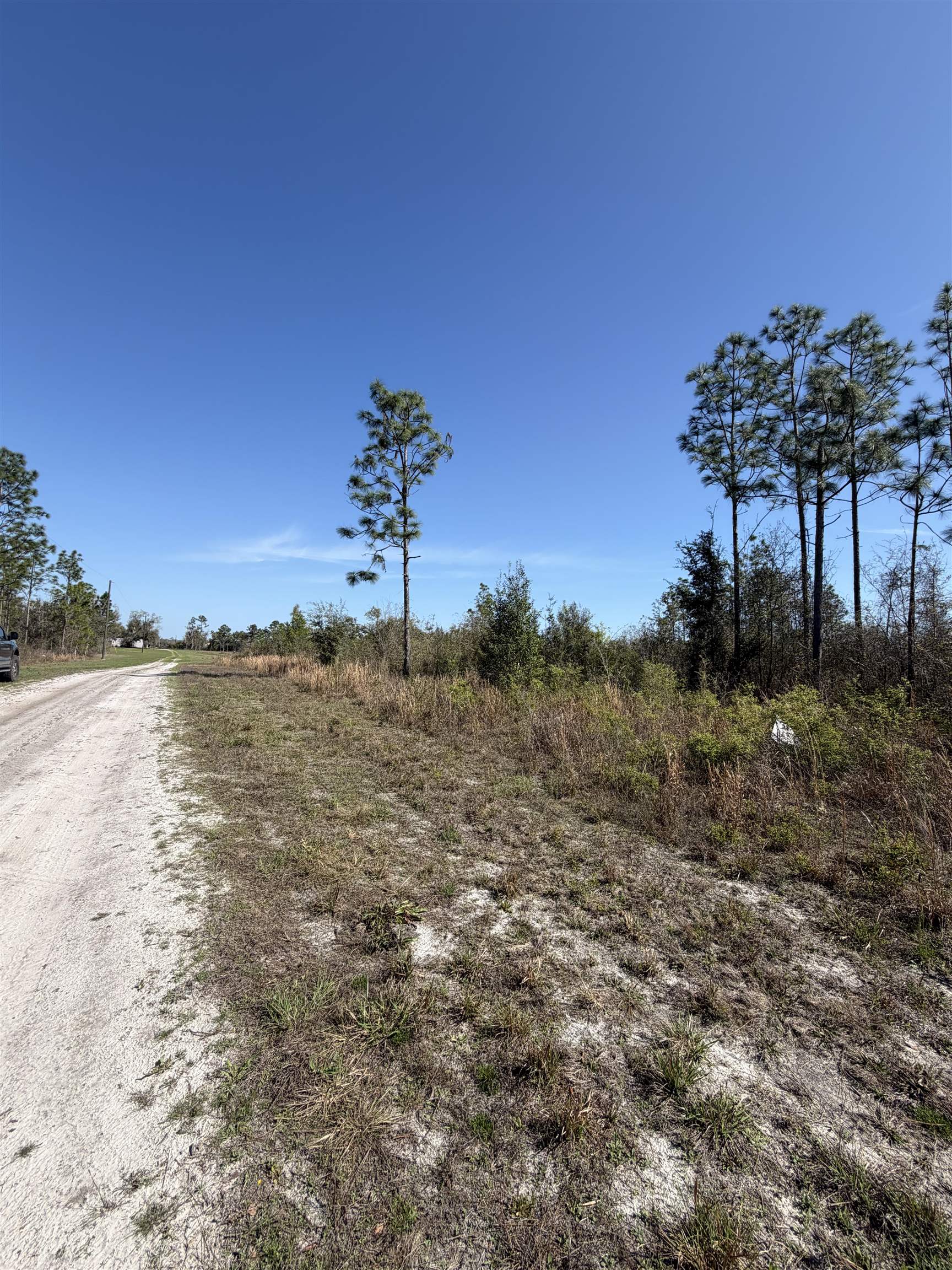 Southeast Colonial Way Lee, FL 32059 - Photo 6 of 20