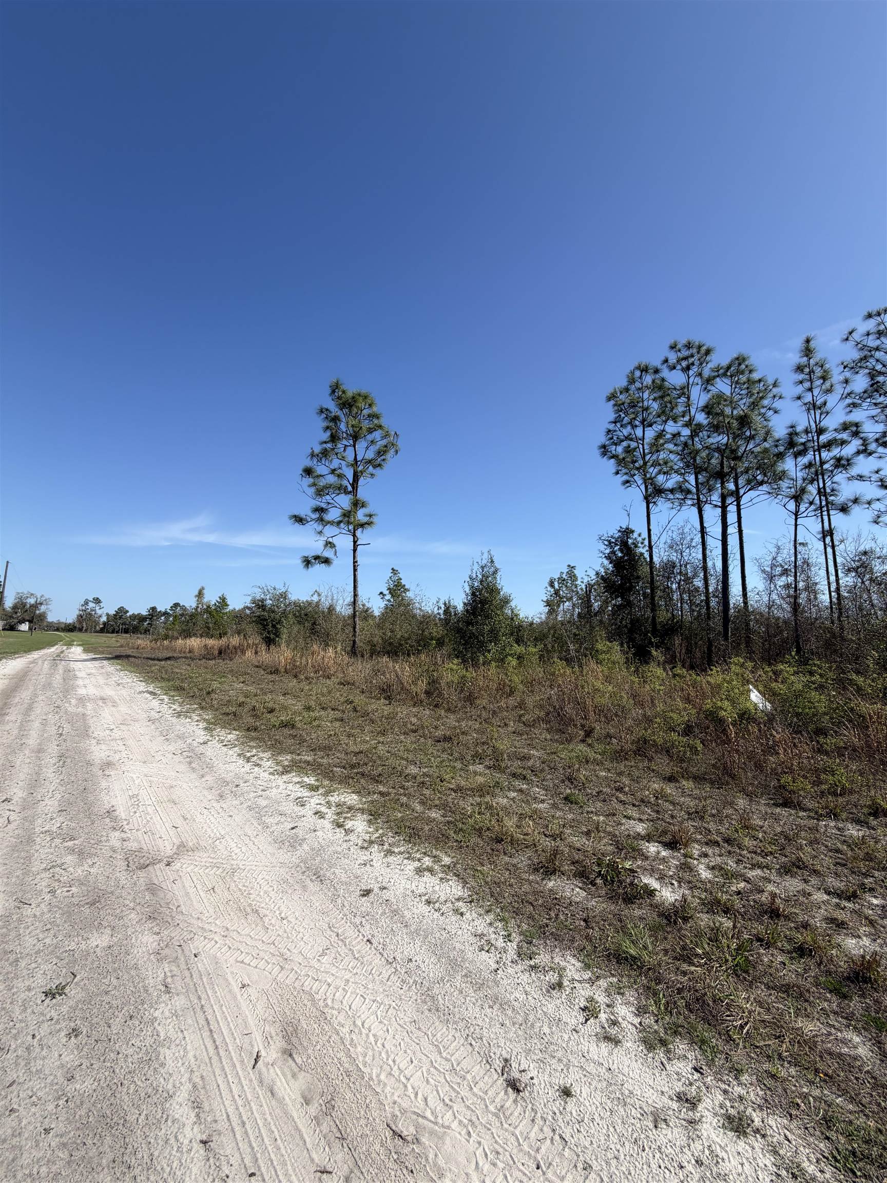 Southeast Colonial Way Lee, FL 32059 - Photo 10 of 20