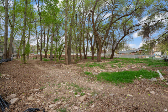 1544 East 1200 S Street Springville, UT 84663 - Photo 11 of 21 View of yard