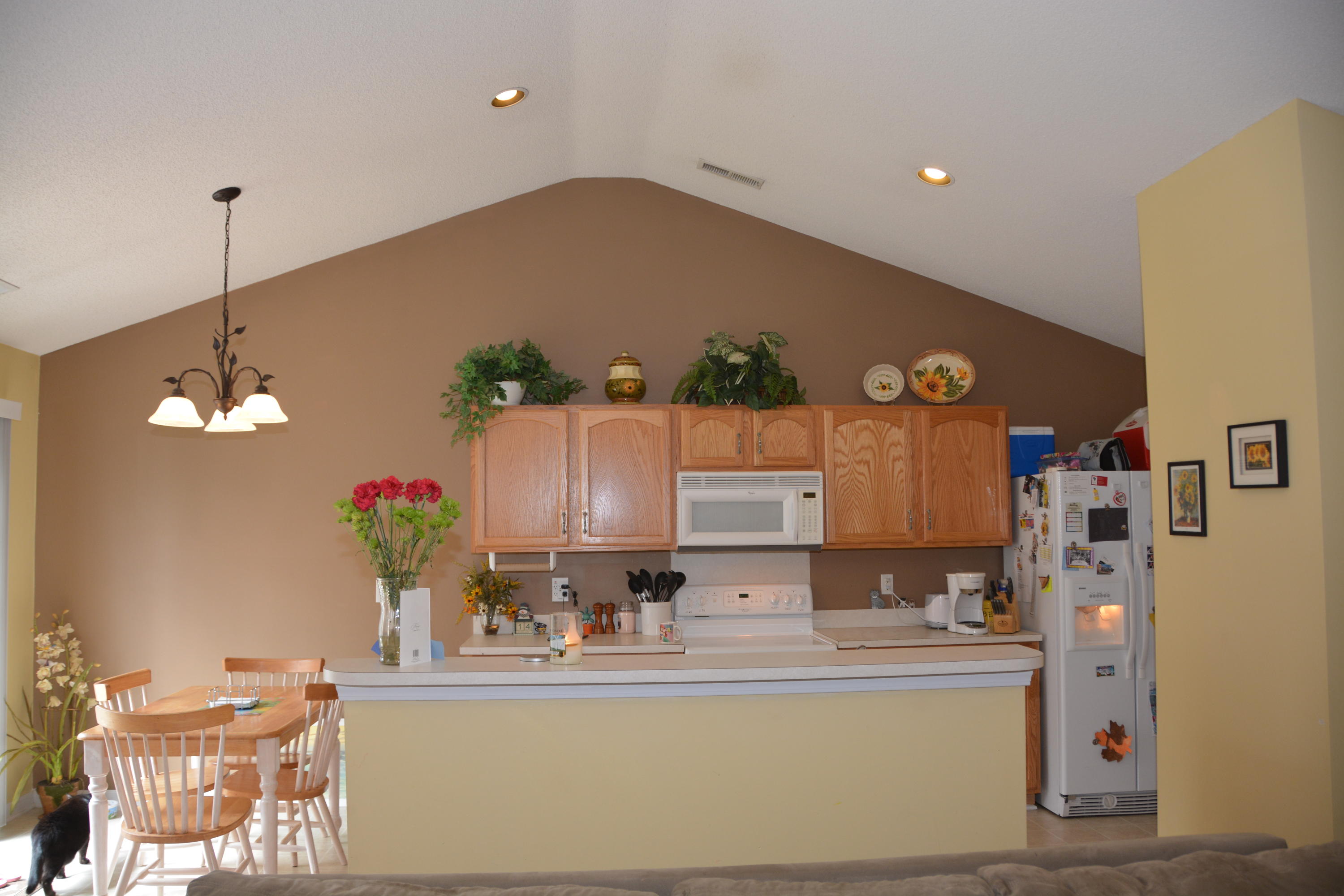 145 Old Tree Road Goose Creek, SC 29445 - Photo 11 of 32 view towards kitchen