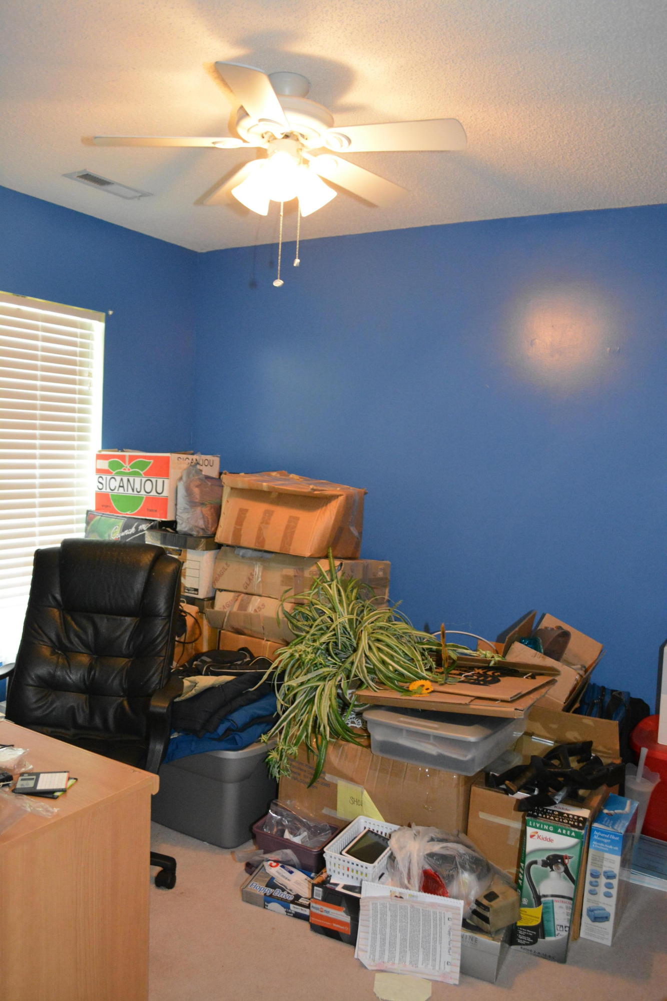 145 Old Tree Road Goose Creek, SC 29445 - Photo 22 of 32 3rd bedroom